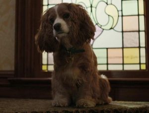 ディズニープラス わんわん物語 考察レビュー 純粋なファンタジーだワン シネマライブラリ